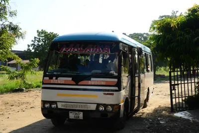 DSC_8262 (Large).JPG